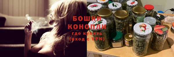 PSILOCYBIN Новодвинск