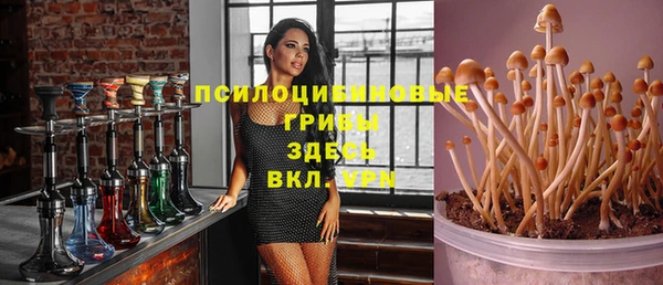 соль ск Бронницы