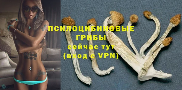 тгк Бугульма
