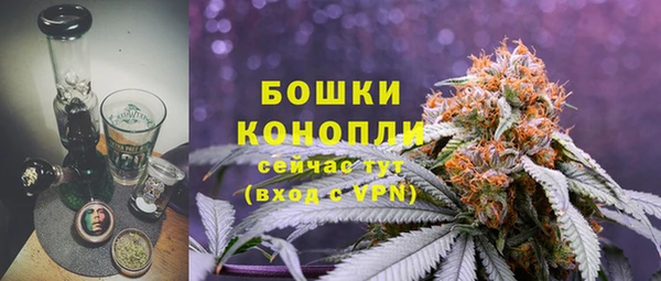 соль ск Бронницы