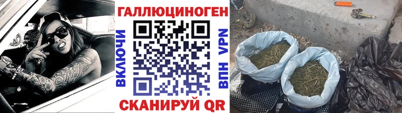 даркнет сайт  Дудинка  Галлюциногенные грибы GOLDEN TEACHER 
